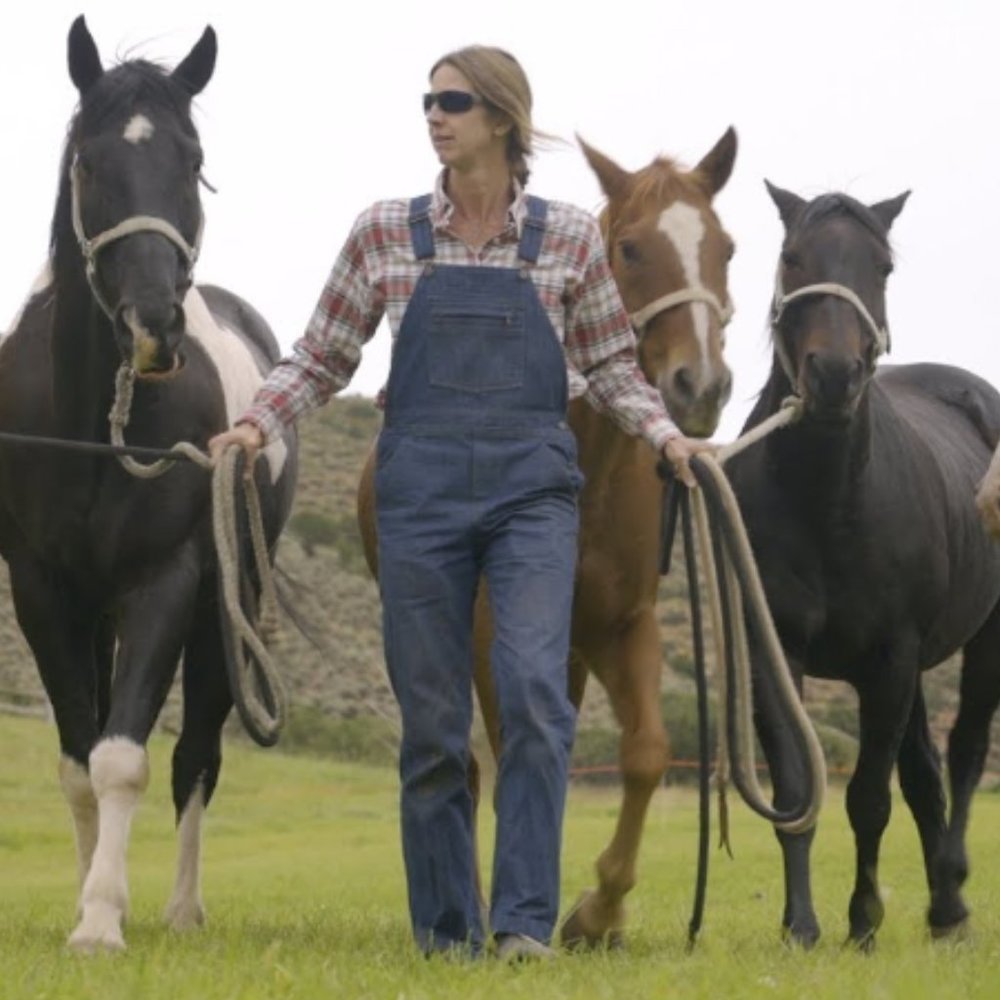 Patagonia Steel Forge Denim Work Overalls nwt